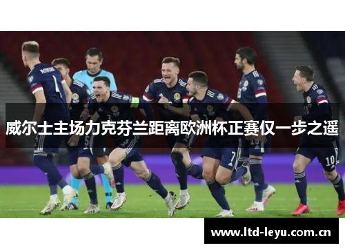 威尔士主场力克芬兰距离欧洲杯正赛仅一步之遥