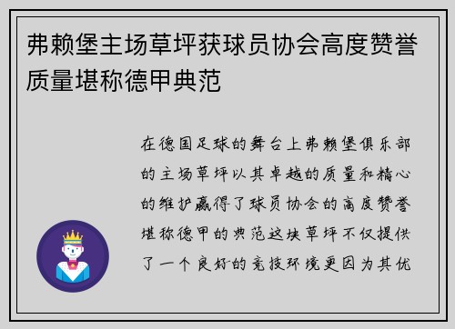 弗赖堡主场草坪获球员协会高度赞誉质量堪称德甲典范